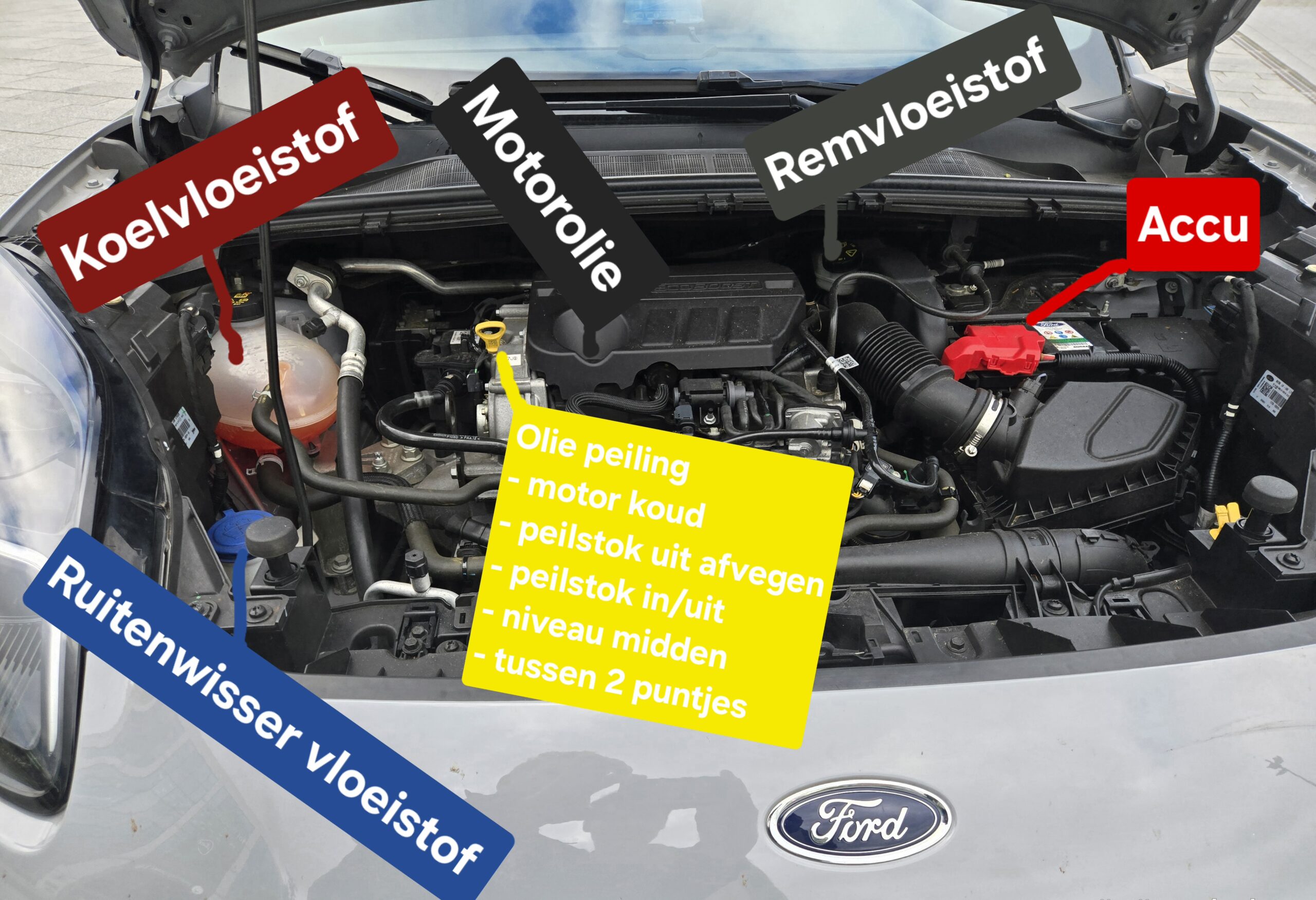 Motor Puma